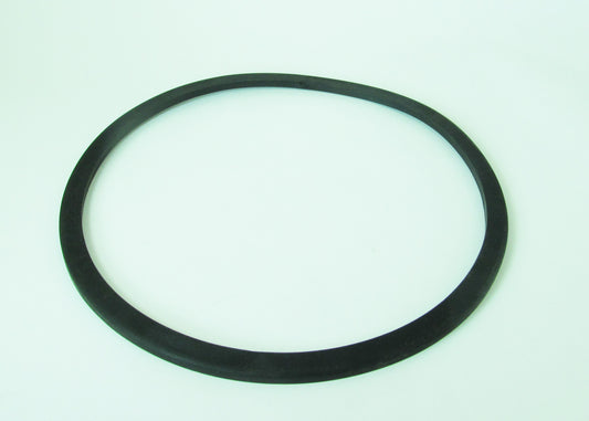 192070 Tank Lid Gasket